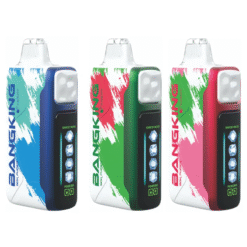 BangKing Ice Cool 60000口 一次性電子煙 - 5段可調冰涼度、可充電60K口數 LED顯示螢幕